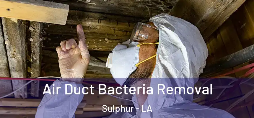  Air Duct Bacteria Removal Sulphur - LA