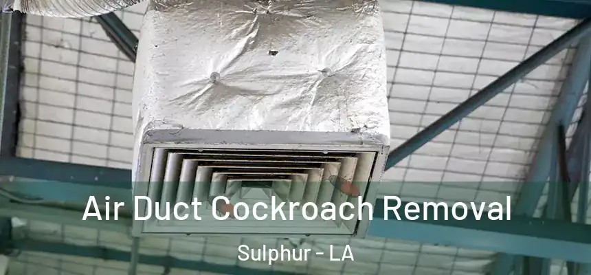 Air Duct Cockroach Removal Sulphur - LA