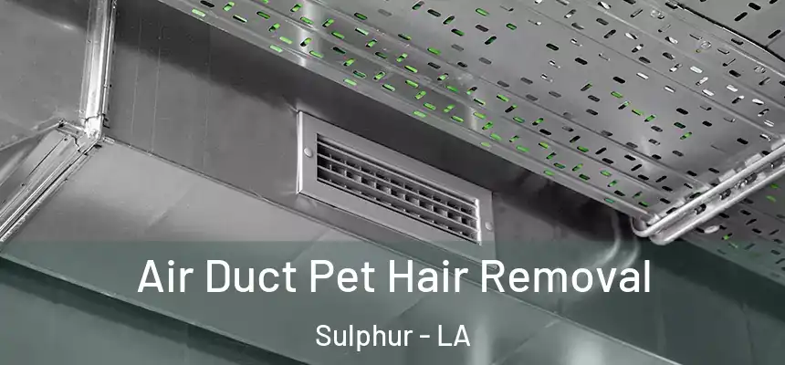 Air Duct Pet Hair Removal Sulphur - LA