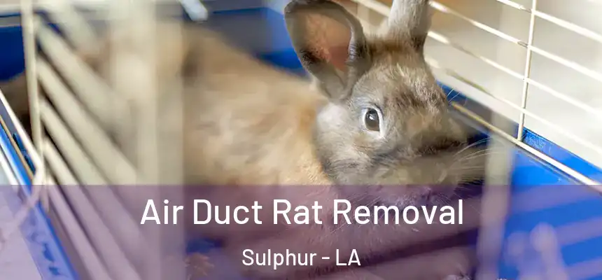 Air Duct Rat Removal Sulphur - LA