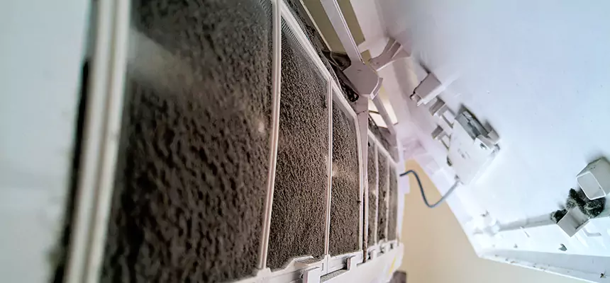 Preventive Air Duct Bacteria Removal in Sulphur