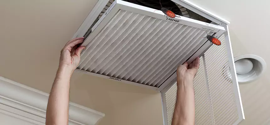 Preventive Cockroach-Proofing for Ducts in Sulphur