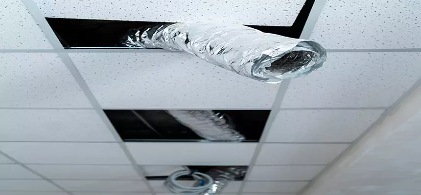 Affordable HVAC Sanitizing After Pest Removal in Sulphur