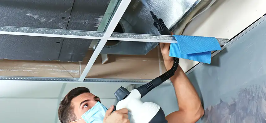 Our Air Duct Rodent Removal Services in Sulphur, LA