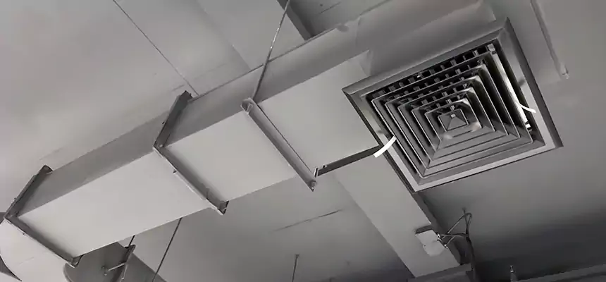 Restorative Allergy Relief Vent Cleaning – Coil, Blower & Housing Detail in Sulphur