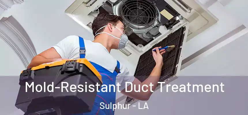  Mold-Resistant Duct Treatment Sulphur - LA