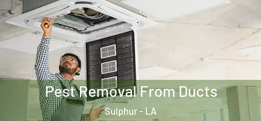 Pest Removal From Ducts Sulphur - LA