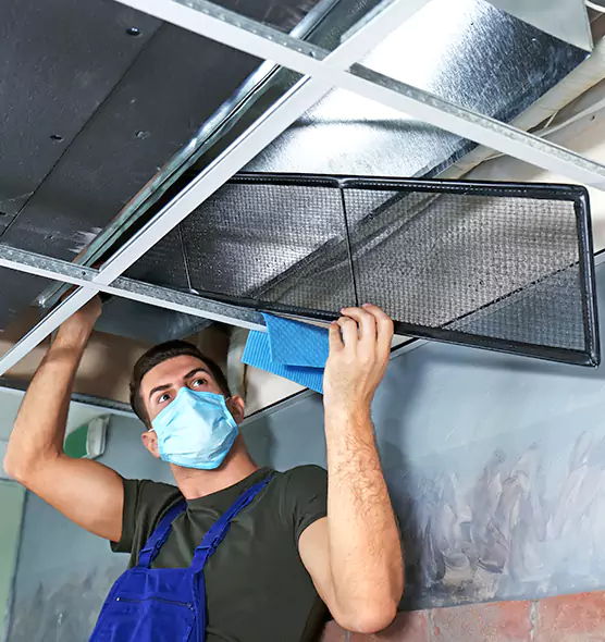 About Air Duct Bacteria Removal in Sulphur