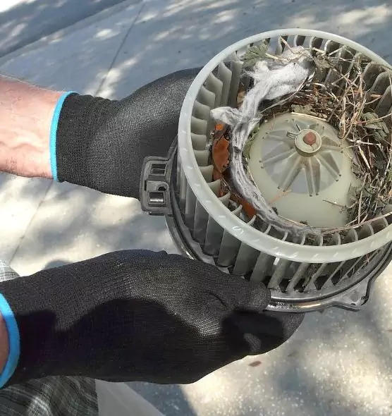 About Air Duct Rat Removal in Sulphur, LA