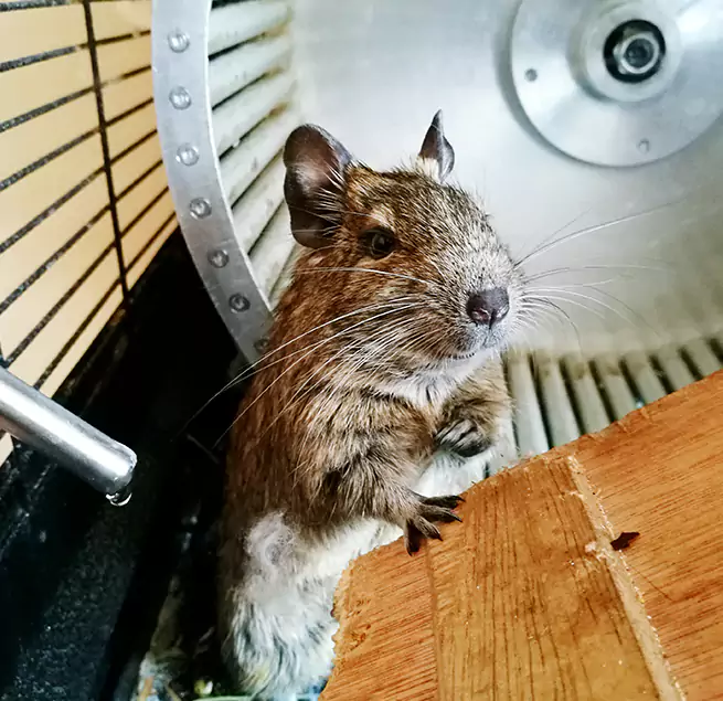 Why Homeowners & Businesses Trust Us Sulphur, LA?