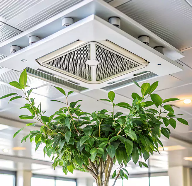 Why Homeowners & Businesses Trust Us in Sulphur, LA